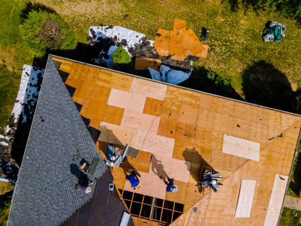 Best Residential Roofing Contractor  in Hemphill, TX