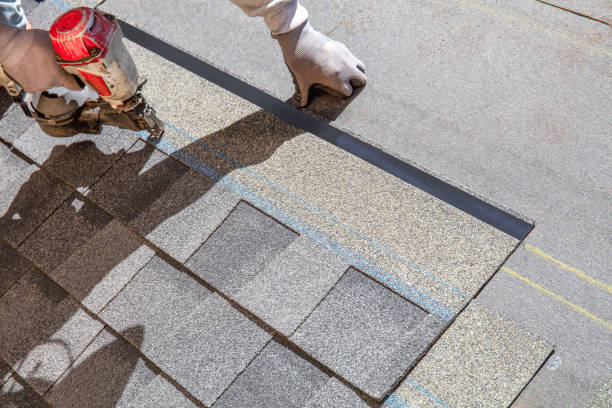 Best Metal Roofing Contractor  in Hemphill, TX