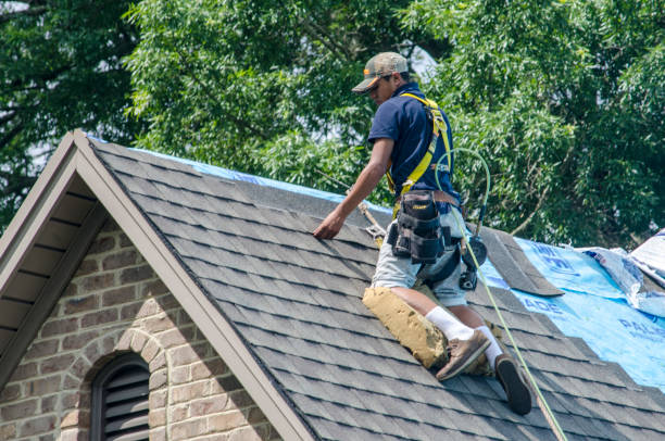 Trusted Hemphill, TX Roofing Contractor Experts